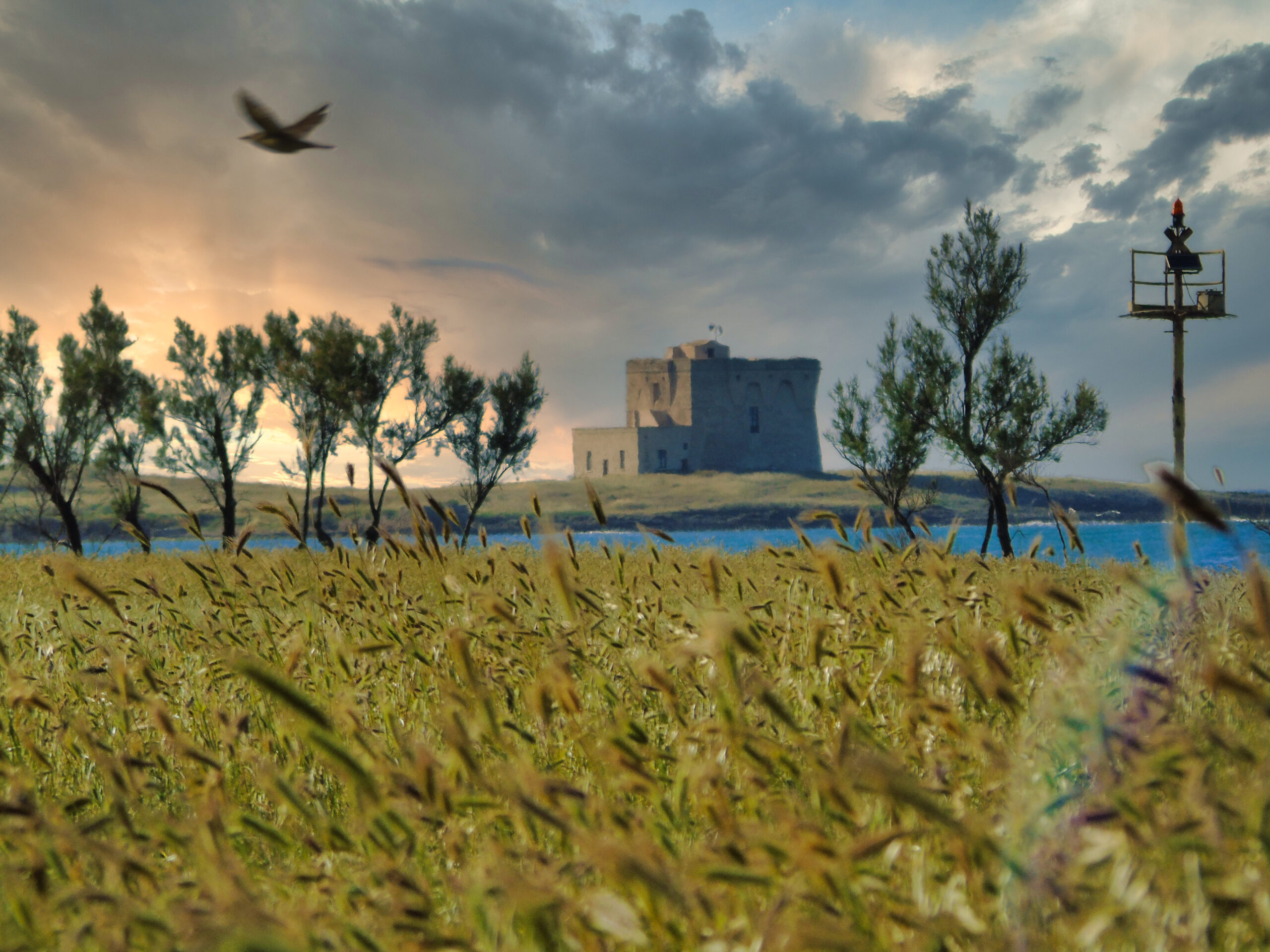 Riserva naturale statale Torre Guaceto